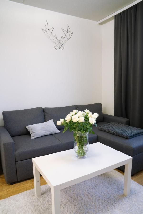 Lovely Northern Apartment, Parking Oulu Zewnętrze zdjęcie